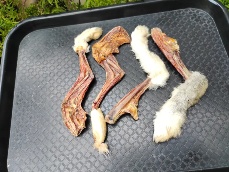 Rabbit Paws - Image 3