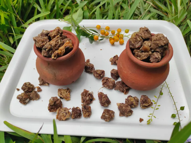 Turkey Bites - Image 3