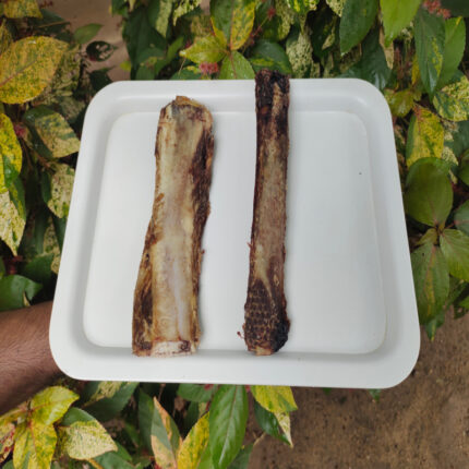 Shop Primary Image Shop Primary Image