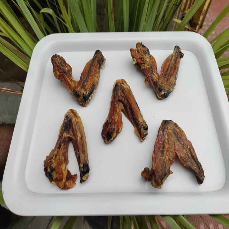 Chicken Wings 1