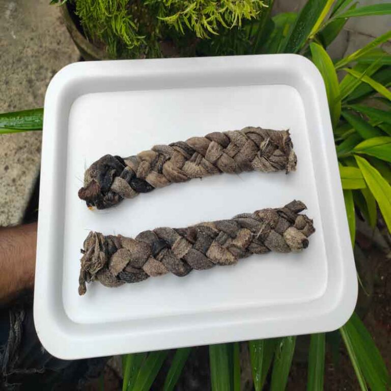 Goat Skin Braid
