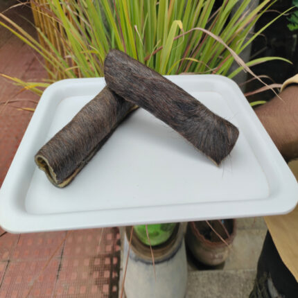 Shop Primary Image Shop Primary Image