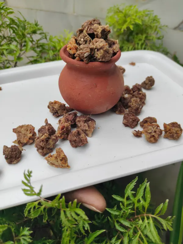 Duck Bites - Image 3