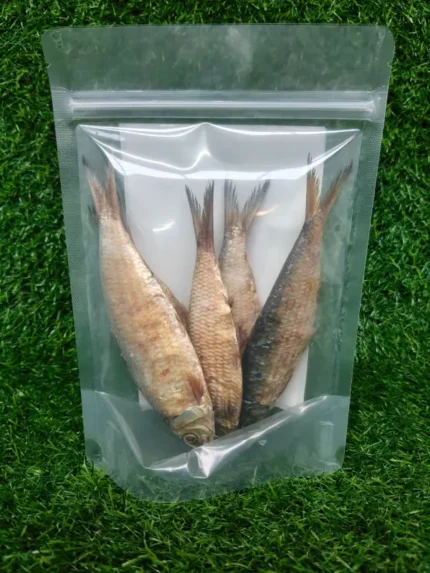 Shop Secondary Image