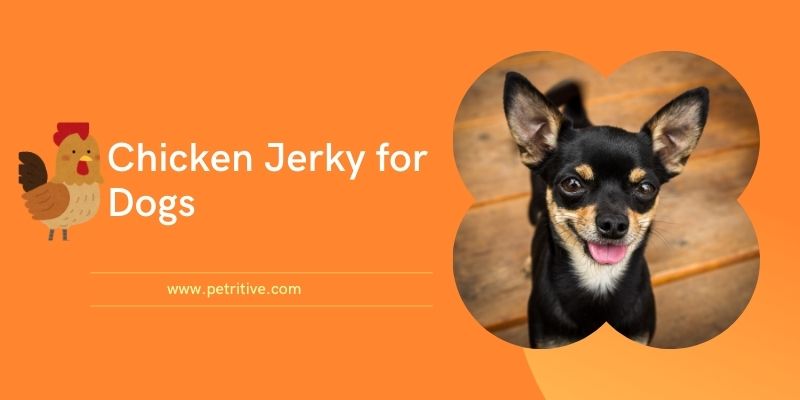 Chicken Jerky for Dogs