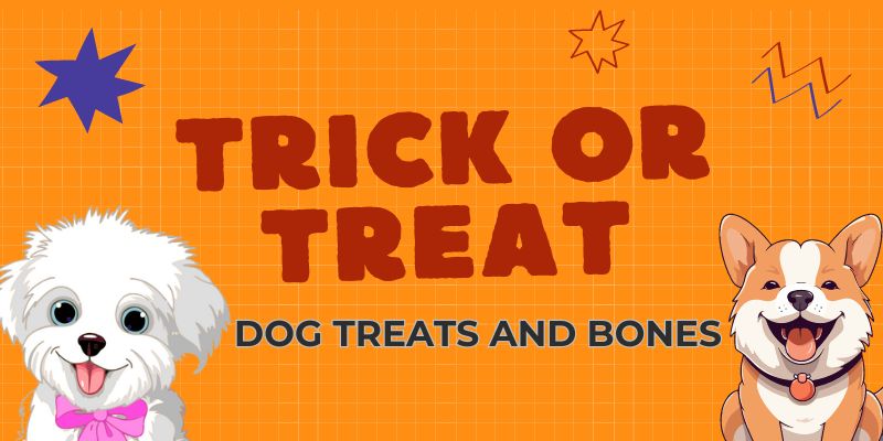 Dog Treats and Bones