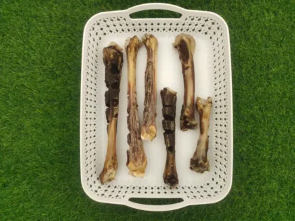 Shop Primary Image Shop Primary Image