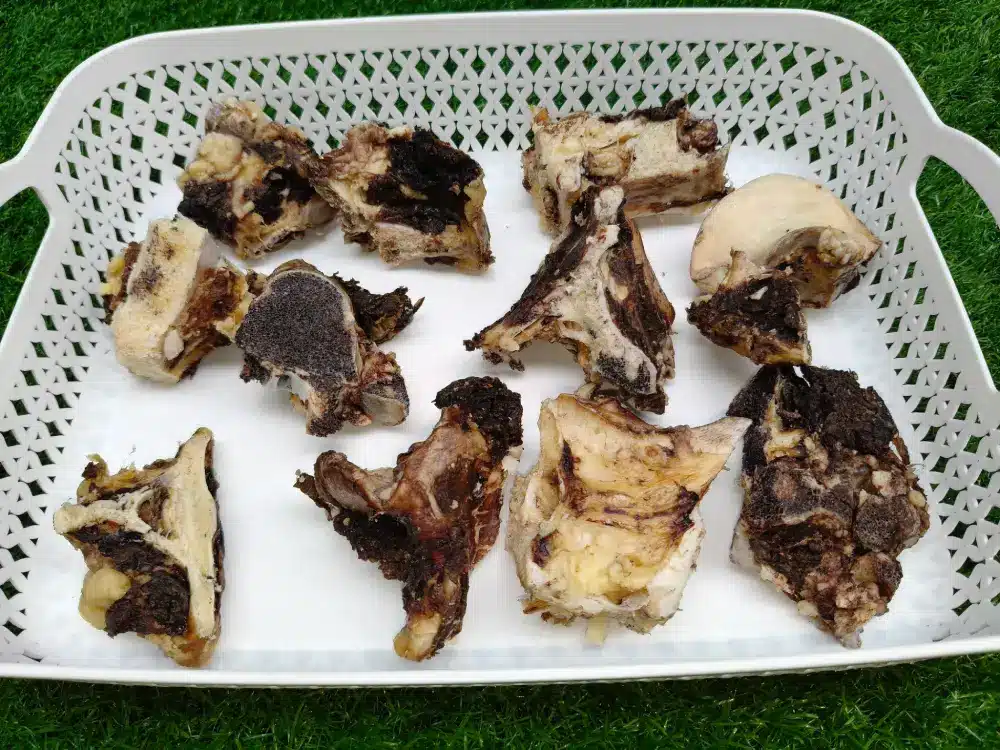 Beef Meaty Chews - Image 3