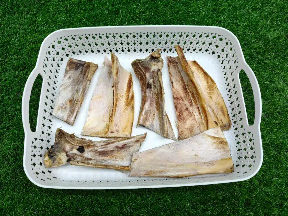 Beef Shoulder Bone Chew