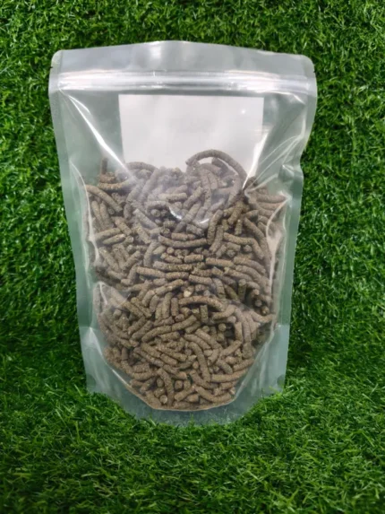 Shop Secondary Image